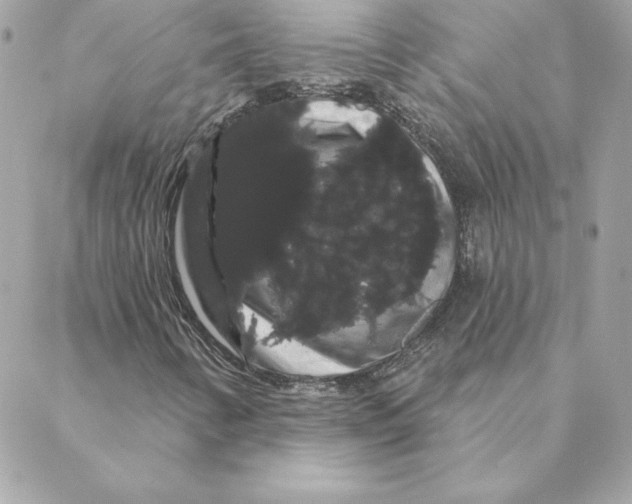 X0000088591346200706151726