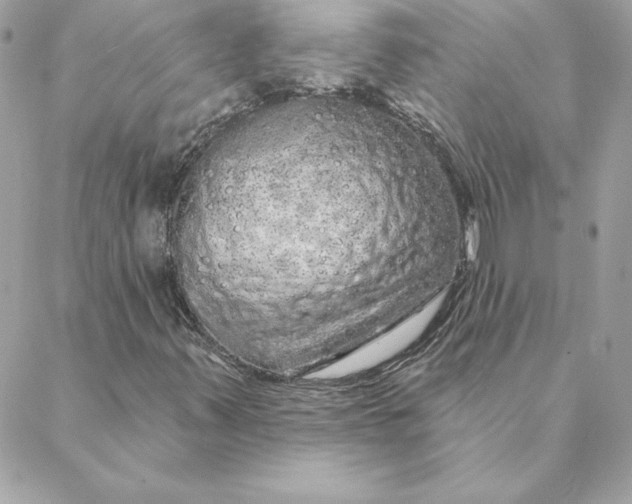 X0000088591347200706151726