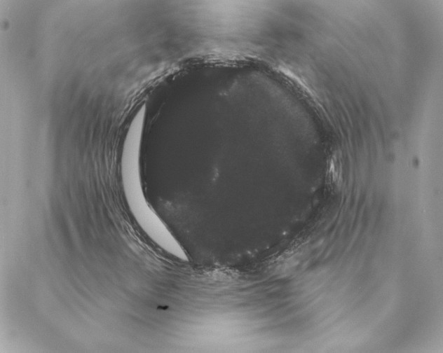 X0000088591348200706151726