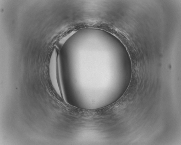 X0000088591349200706151726