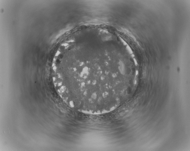 X0000088591350200706151726