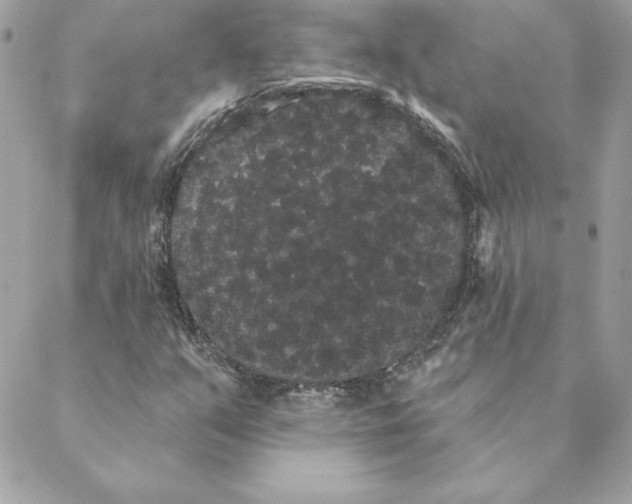 X0000088591351200706151726