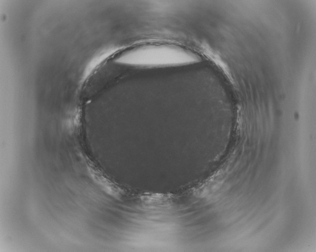 X0000088591352200706151726