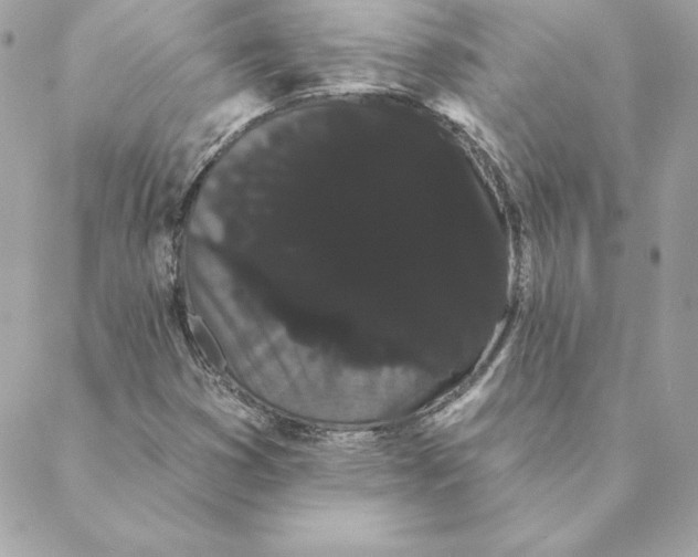 X0000088591353200706151726