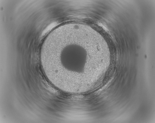 X0000088591354200706151726