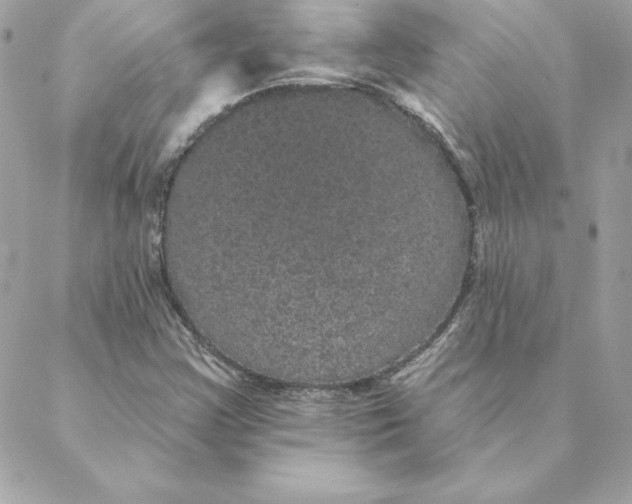 X0000088591355200706151726