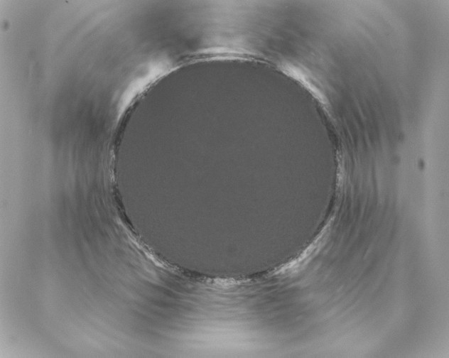 X0000088591357200706151726