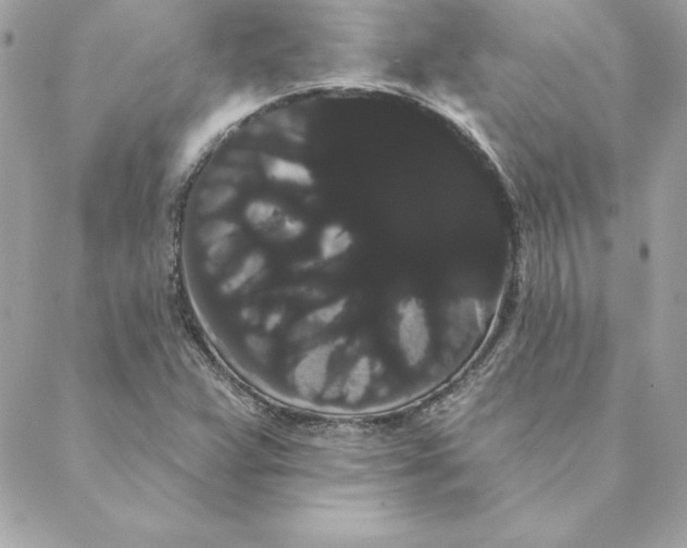 X0000088591359200706151726