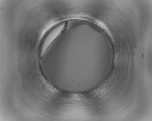 X0000088591360200706151726