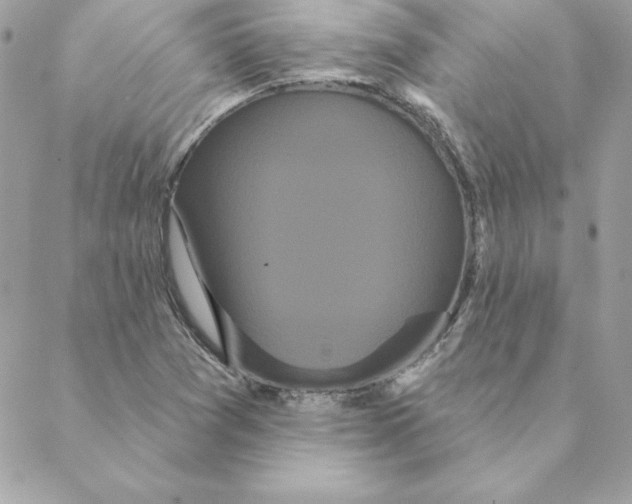 X0000088591361200706151726