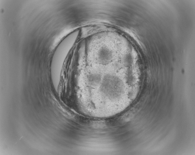 X0000088591363200706151726