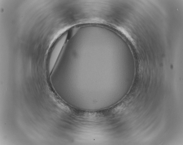 X0000088591364200706151726