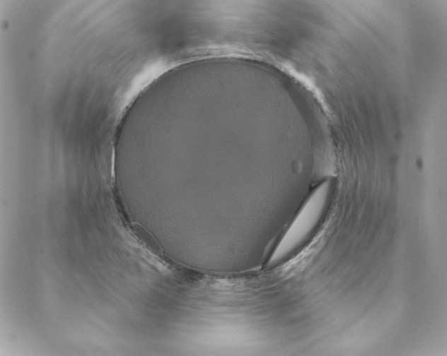 X0000088591365200706151726