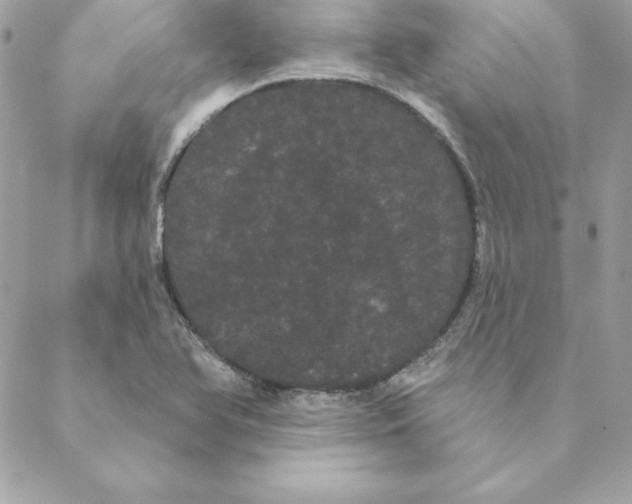 X0000088591366200706151726