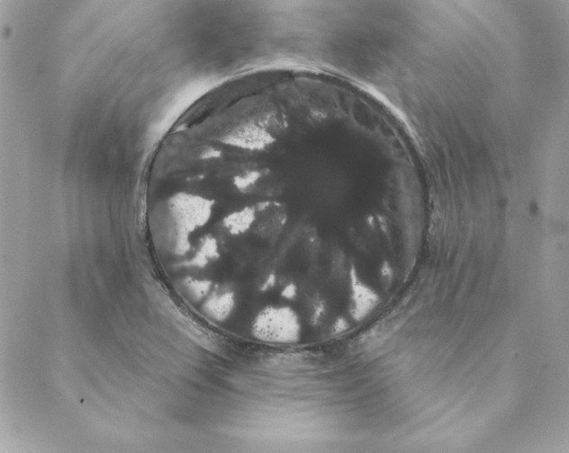 X0000088591367200706151726