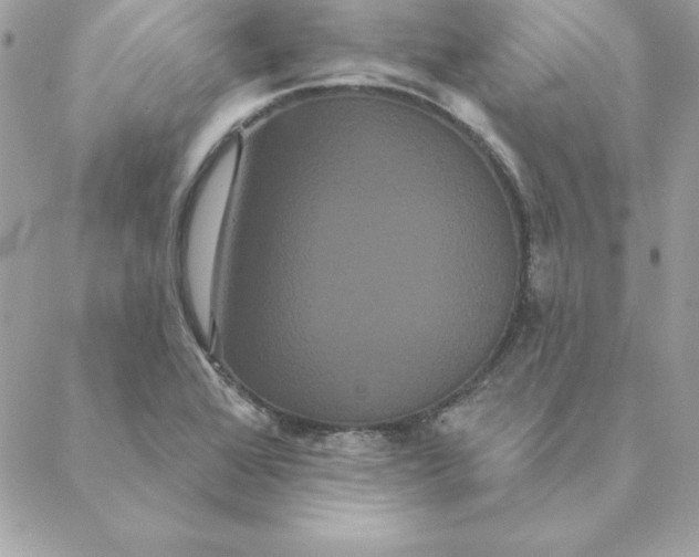 X0000088591368200706151726