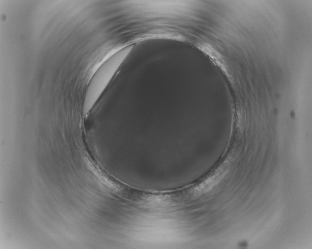 X0000088591369200706151726