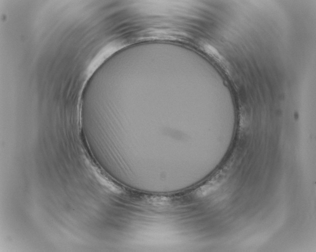 X0000088591370200706151726