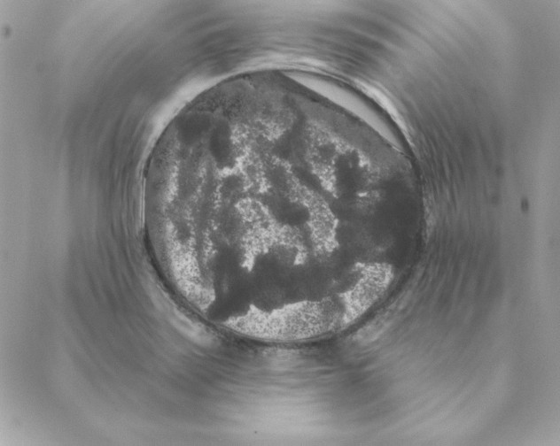 X0000088591371200706151726