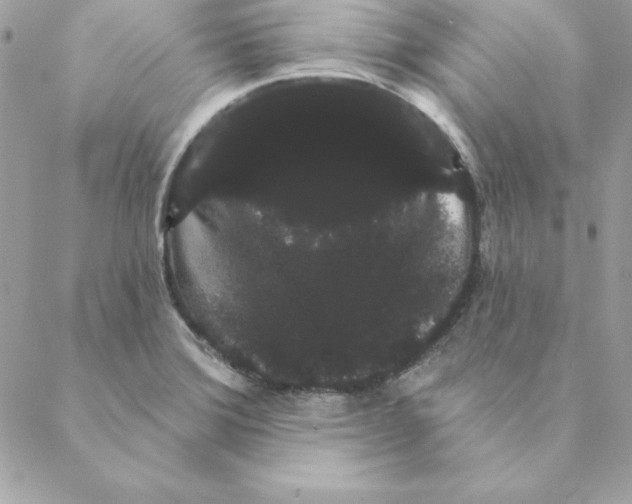 X0000088591372200706151726