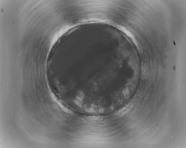 X0000088591373200706151726