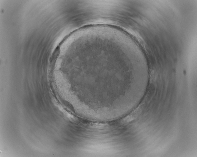 X0000088591374200706151726