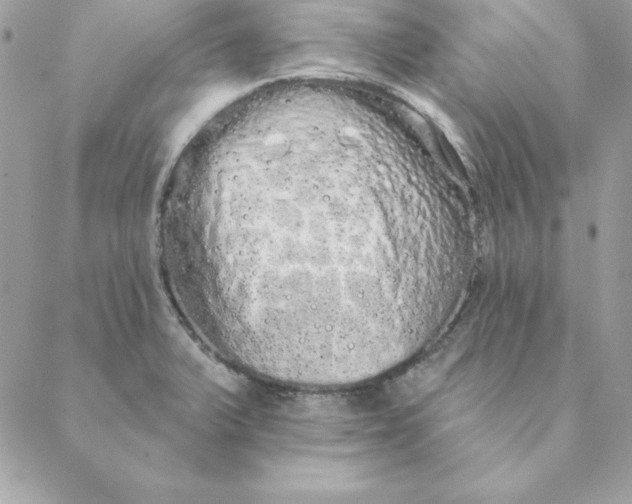 X0000088591375200706151726