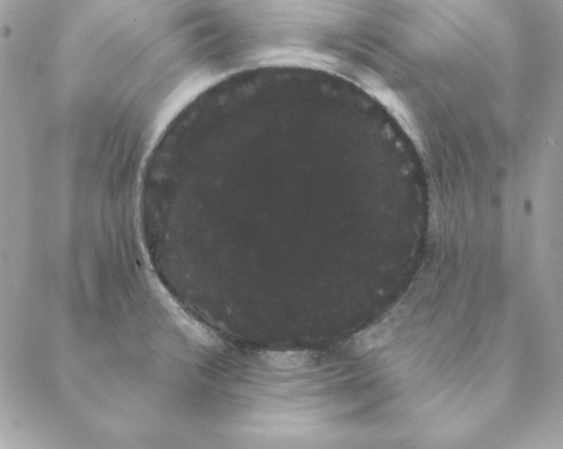 X0000088591376200706151726