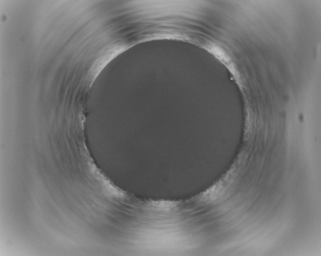 X0000088591377200706151726