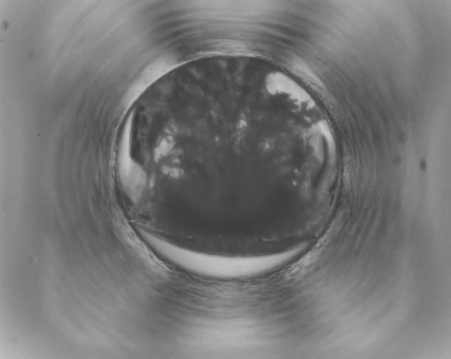 X0000088591378200706151725