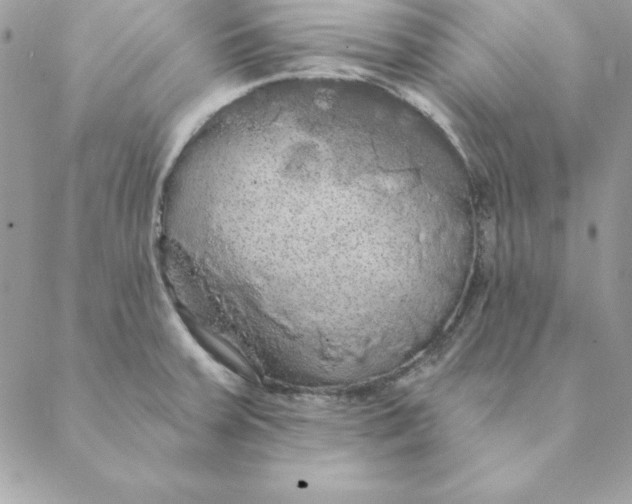 X0000088591379200706151725