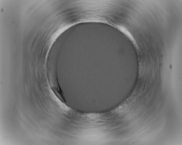 X0000088591380200706151725