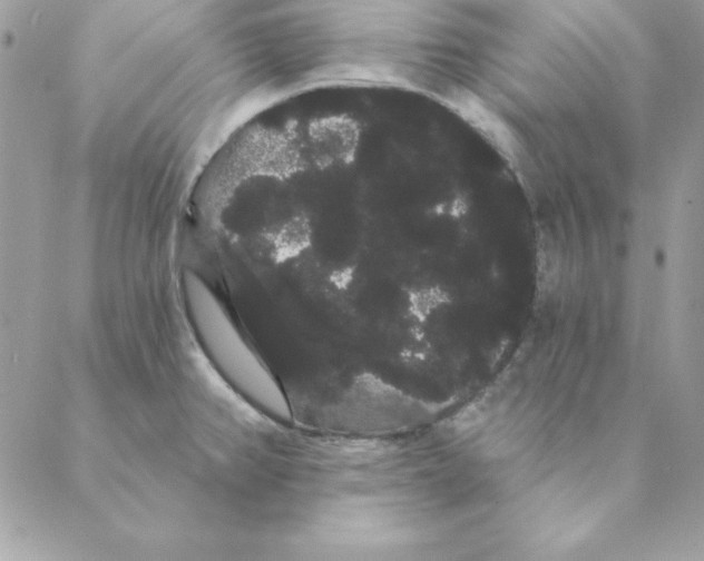 X0000088591382200706151725