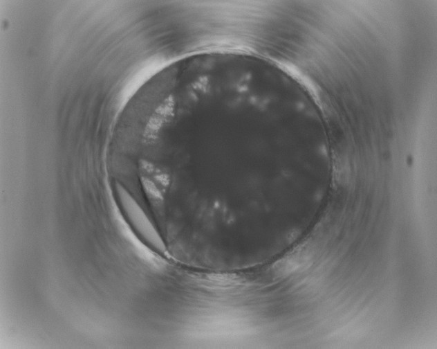 X0000088591383200706151725