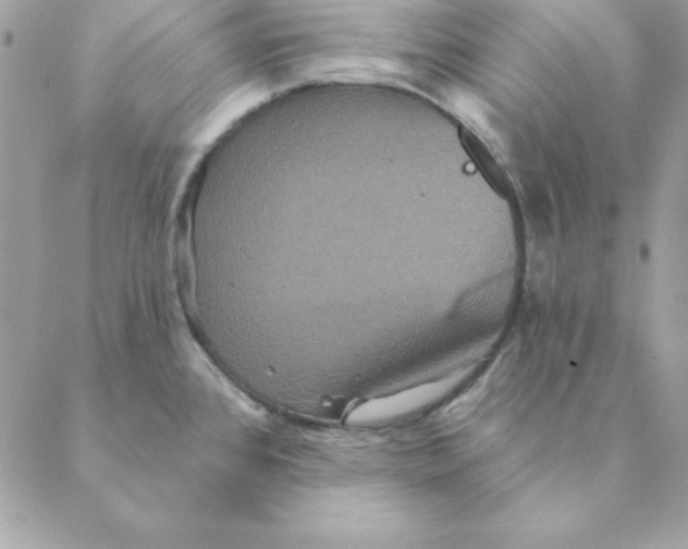 X0000088591384200706151725