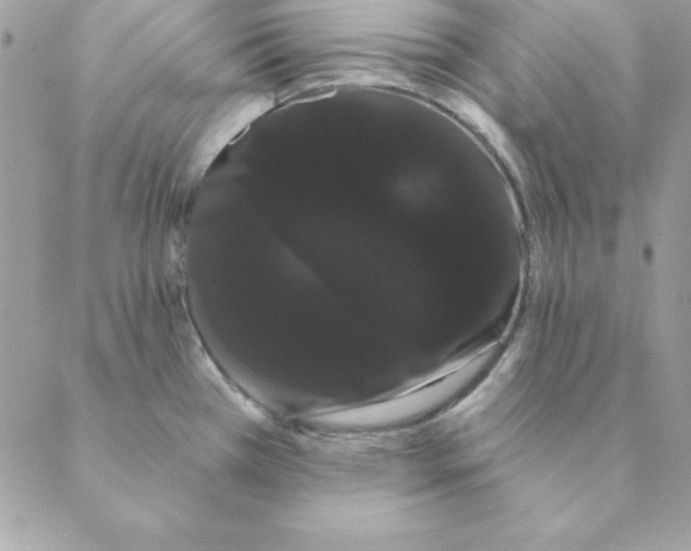 X0000088591385200706151725