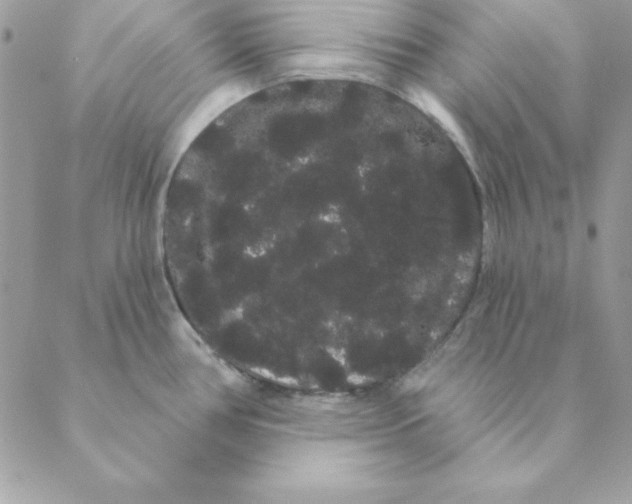 X0000088591386200706151725