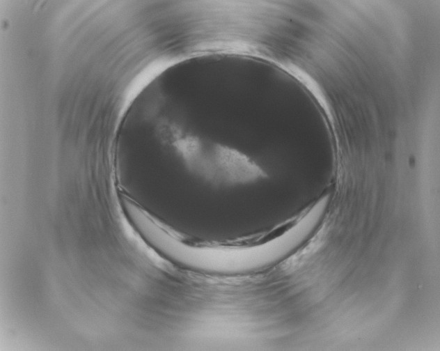 X0000088591389200706151725