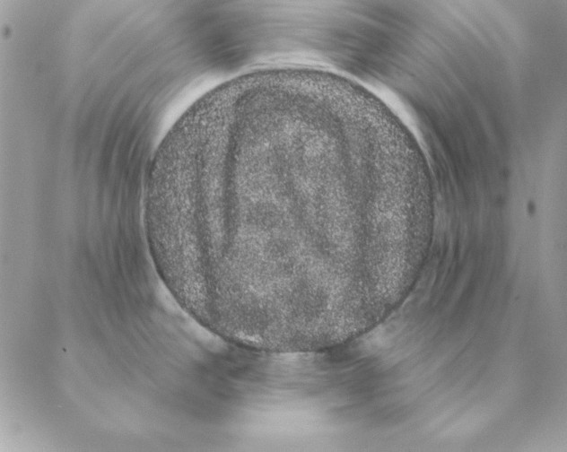 X0000088591390200706151725