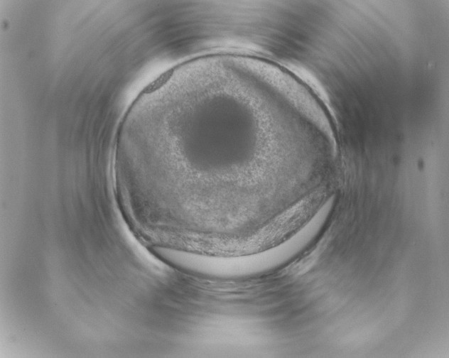 X0000088591391200706151725