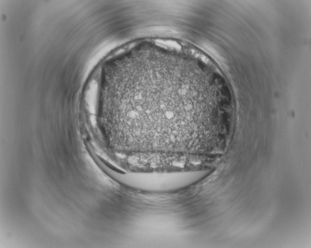 X0000088591392200706151725