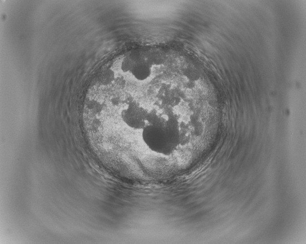 X0000088591393200706151724