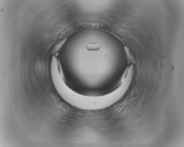 X0000088591394200706151725