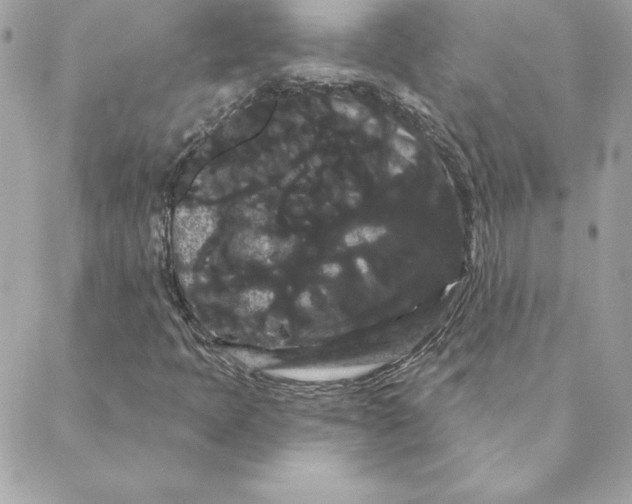 X0000088591397200706151725