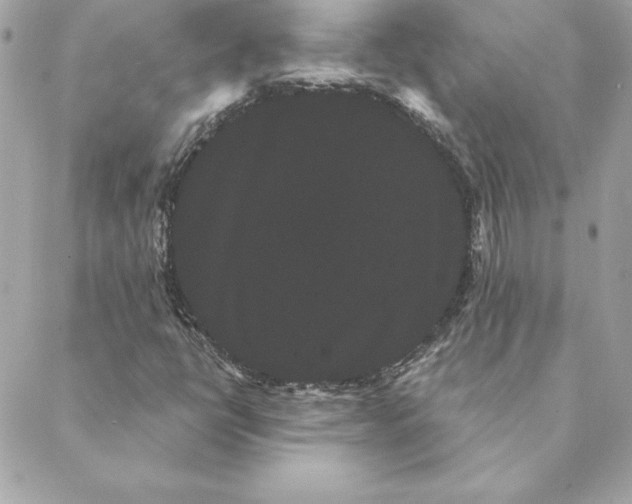 X0000088591398200706151725