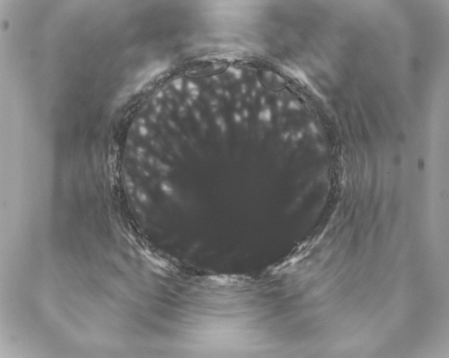 X0000088591399200706151725