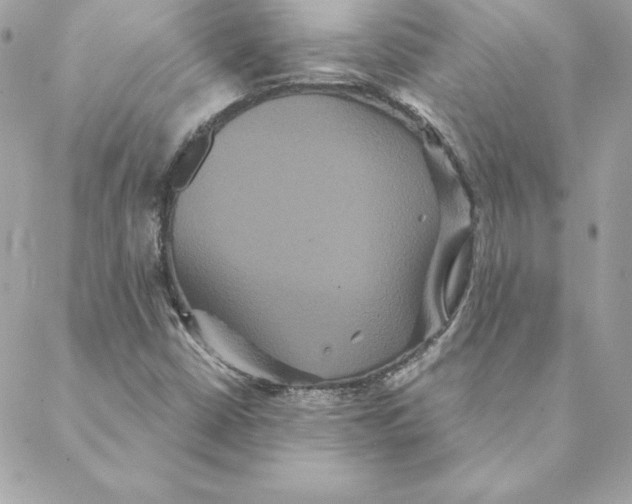 X0000088591402200706151725