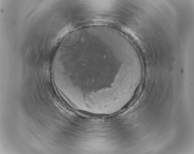 X0000088591403200706151725