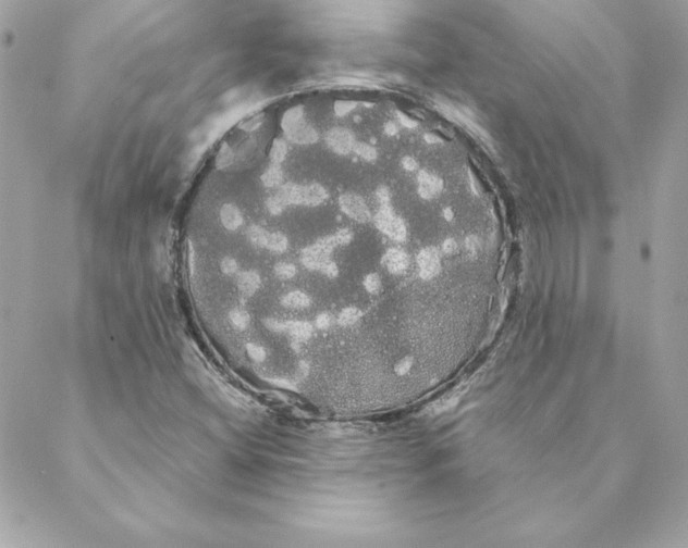 X0000088591404200706151725