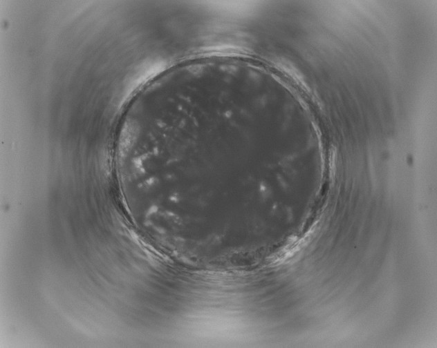 X0000088591405200706151725